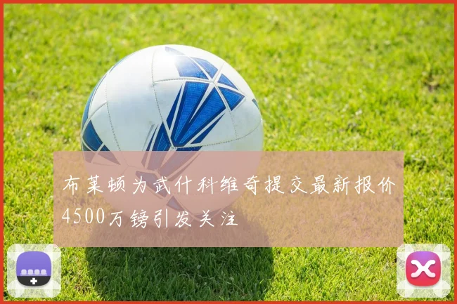 布莱顿为武什科维奇提交最新报价4500万镑引发关注